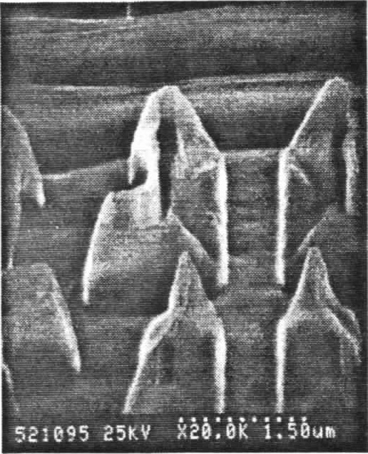 Post-Poly Etch SEM conventional photoresist strip